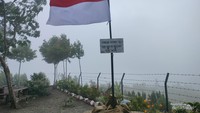 Puncak Depati VII Coffee