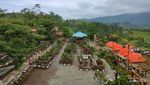 Ingin Kemping di Taman Nasional, tapi Nuansa Kafe Kekinian... Datang ke Jambi