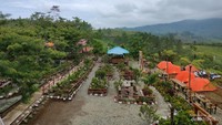 Camping Ground Depati VII Coffee