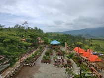 Ingin Kemping di Taman Nasional, tapi Nuansa Kafe Kekinian... Datang ke Jambi