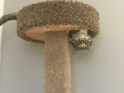 Foto Ini Langsung Mengecoh Mata Saat Pertama Dilihat