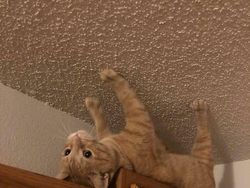 Foto Ini Langsung Mengecoh Mata Saat Pertama Dilihat