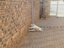 Foto Ini Langsung Mengecoh Mata Saat Pertama Dilihat