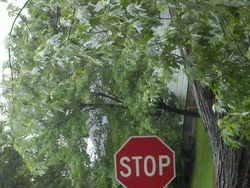 Foto Ini Langsung Mengecoh Mata Saat Pertama Dilihat