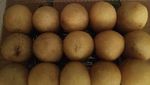 Gurih Manis! 20 Combro dan Misro Rp 3.000an Buat Ngemil