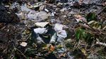 Jorok! Sampah Hiasi Selokan Depan Kelurahan Pondok Aren Tangsel
