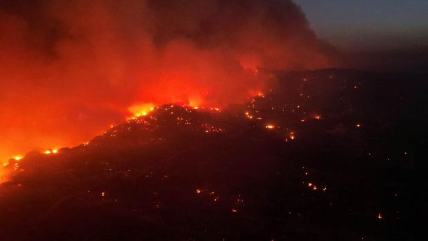 Kebakaran hutan melanda Pulau Rhodes, Yunani, selama sepekan hari terakhir. Selain menghanguskan hutan, kebakaran itu juga mengakibatkan sejumlah hewan mati, Minggu (23/7/2023) waktu setempat.