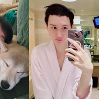 Beberapa tahun terakhir Liu Zi Chen tidak terlalu sering tampil di media sosial. Dilansir 8days, pria tersebut kini tinggal di Amerika Serikat selagi belajar di sana. Foto: Weibo