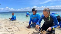 Irena, wisatawan Prancis ikut transplantasi terumbu karang untuk mempertahankan keindahan Pulau Meoskun, Raja Ampat