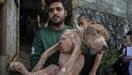 Pasar Ekstrem Tomohon Setop Jual Daging Anjing dan Kucing