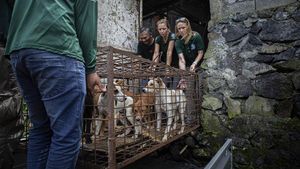 Pasar Ekstrem Tomohon Setop Jual Daging Anjing dan Kucing