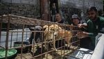 Pasar Ekstrem Tomohon Setop Jual Daging Anjing dan Kucing