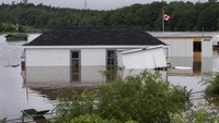 Meskipun statistik resmi belum dicatat, wilayah Halifax diyakini belum pernah mengalami curah hujan setinggi ini sejak 16 Agustus 1971, ketika badai Beth mendarat di dekat ujung timur daratan Nova Scotia dan kemudian mengamuk di atas Cape Breton. Saat itu, curah hujan hampir 250 mm turun di area Halifax, menyebabkan banjir dan kerusakan yang meluas.  