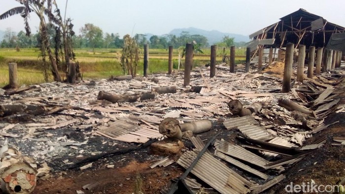 Peternakan ayam Udin Wahyudin (43) yang ludes terbakar api.