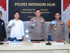 Polisi Gagalkan Penyelundupan 70 Ribu Baby Lobster Rp 14 Miliar di Inhil