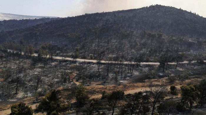 Kebakaran hutan telah melanda Yunani. Kebakaran itu mengakibatkan hutan yang sebelumnya hijau menjadi gosong. Ini potretnya.