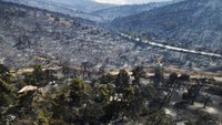 Hutan di kawasan Mandra hangus terbakar.  