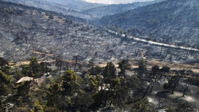 Potret Hutan di Yunani yang Gosong Usai Dilalap Api