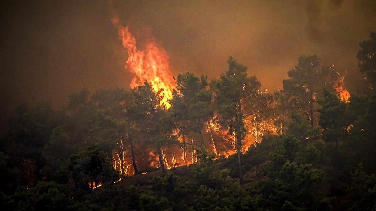 Kebakaran Hutan di Yunani: Dugaan Penyebab dan Kondisi Terkini