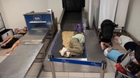 Evakuasi tersebut juga melibatkan 2.000 turis yang berada di pulau itu lantaran api mulai menjalar ke wilayah resor tepi pantai.  