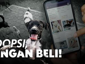 Adopsi, Jangan Beli!