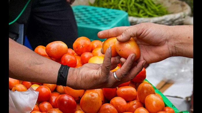 Unik! Ibu Ini Minta Oleh-oleh ke Anaknya, Tomat 10 Kg dari Dubai