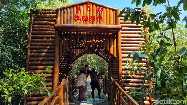 Kebun Raya Mangrove Gunung Anyar Surabaya