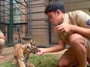 Alshad Banjir Kritik Gegara Harimau Miliknya Sudah Mati Tujuh