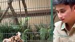 Haru! Alshad Ahmad Suapi Daging Segar untuk Harimaunya Sebelum Mati