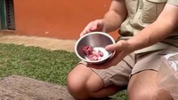 Setelah dipotong, daging-dagingnya diletakkan dalam satu wadah. Mangkuk stainless dipilihnya agar mudah dibersihkan. Foto: TikTok/alshad95