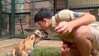 Momen memberi makan Cenora ini menjadi kenangan indah bagi Alshad Ahmad. Sebelum akhirnya Cenora jatuh sakit dan mati tak tertolong.  Foto: TikTok/alshad95
