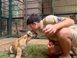 PETA Asia Minta Alshad Ahmad Relokasi Semua Satwa di Rumahnya