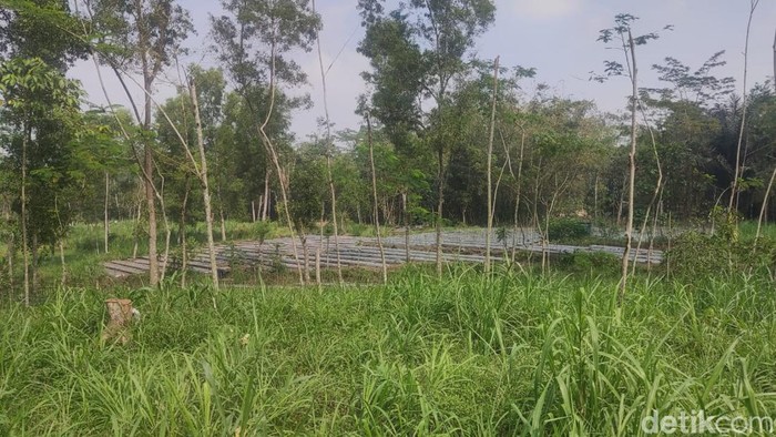 Calon lokasi TPS alternatif TPA Piyungan di Umbulharjo, Cangkringan, Sleman. Foto diambil Selasa (25/7/2023).