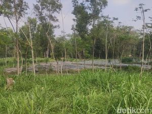 Melihat Calon Lokasi TPS Alternatif TPA Piyungan di Cangkringan Sleman