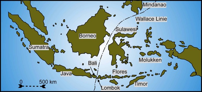 Garis Wallace, garis imajiner yang melintang di antara Kalimantan-Sulawesi