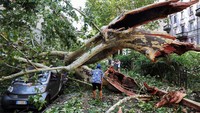 Sejumlah pohon tumbang di Milan, Italia, Selasa (25/7/2023).