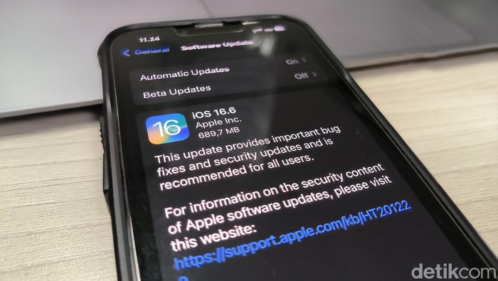 iOS 16.6