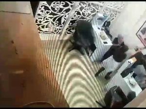 Kronologi Aksi Koboi Pria Aniaya-Todong Wanita Karyawan Salon