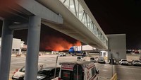 Malam yang gelap tampak terang oleh kobaran api yang membakar hutan di dekat bandara Palermo. 