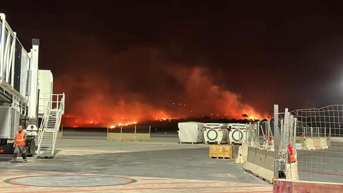 Kebakaran melanda hutan di dekat bandara Palermo, Italia, Selasa (25/7/2023).