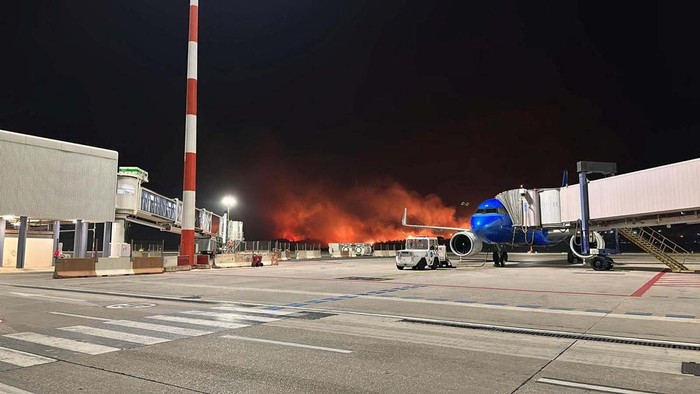 Kebakaran melanda hutan di dekat bandara Palermo, Italia, Selasa (25/7/2023).