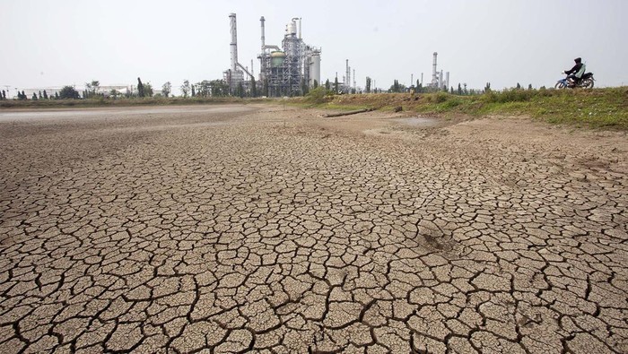 Kemarau, Waduk-Sawah Mengering di Indramayu Warga mencari ikan di waduk yang mengering di Balongan, Indramayu, Jawa Barat, Selasa (25/7/2023). Badan Meteorologi, Klimatologi dan Geofisika (BMKG) memprakirakan puncak kemarau imbas fenomena El nino terjadi pada Agustus hingga awal September mendatang. ANTARA FOTO/Dedhez Anggara/tom.