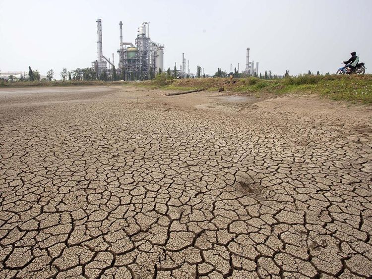 Kemarau, Waduk-Sawah Mengering di Indramayu