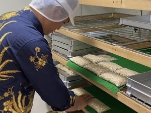 Kisah Taiki Miyazaki, Orang Jepang Pembuat Tempe dengan Kedelai Lokal