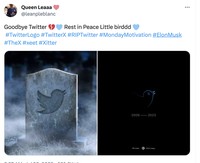 Meme Twitter