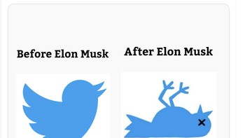 Nasib burung biru sebelum dan sesudah dibeli oleh Elon Musk. Foto: Twitter