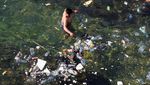 Panas Menyengat, Warga Lebanon Nekat Berenang di Laut Penuh Sampah