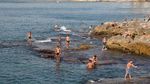 Panas Menyengat, Warga Lebanon Nekat Berenang di Laut Penuh Sampah