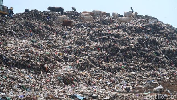 Para pemulung yang tengah mengais di gunung sampah TPA Piyungan, Bantul, Selasa (25/7/2023).