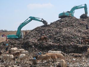 Proyek Sulap Sampah Jadi Listrik Dibangun di 7 Kota, Olah 12 Ton per Hari